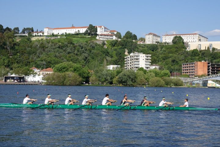 Regata 52
